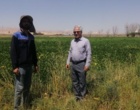 هشدار معاون مرکز تحقیقات کشاورزی لرستان درباره تبعات خاموشی‌های مکرر بر مزارع الگویی و تحقیقاتی الیگودرز / ضرورت تفکیک زیرساخت‌های پژوهشی کشاورزی از جدول قطعی برق