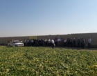 لرستان، کانون تبادل دانش کشاورزی؛ برگزاری رویداد ملی انتقال یافته‌های نوین تحقیقاتی در بروجرد و ازنا