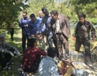«کیل‌گیری» و «روز مزرعه» سیب درختی در باغ‌های روستای شیخ‌میری سادات برگزار شد