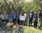 «کیل‌گیری» و «روز مزرعه» سیب درختی در باغ‌های روستای شیخ‌میری سادات برگزار شد