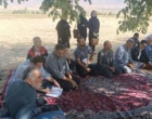یازدهمین کاروان ترویجی کشت پاییزه در الیگودرز؛ پیوند میان یافته‌های تحقیقاتی و عرصه‌های تولید