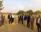بازدید سرزده دکتر غلامرضا گلمحمدی معاون وزیر و رئیس سازمان «تات» از پردیس تحقیقات و آموزش کشاورزی بروجرد