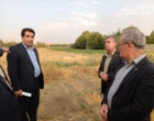 بازدید سرزده دکتر غلامرضا گلمحمدی معاون وزیر و رئیس سازمان «تات» از پردیس تحقیقات و آموزش کشاورزی بروجرد