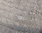 آغاز عملیات کاشت و آماده‌سازی اراضی ایستگاه تحقیقاتی سراب چنگایی خرم‌آباد به منظور اجرای طرح پژوهشی «تاثیر روش آبیاری و تاریخ برداشت در مدیریت سنک کلزا»