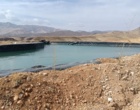 بازدید معاون آموزش و تحقیقات کشاورزی لرستان از مجموعه دانش‌بنیان آلکان کشت الیگودرز / تأکید بر تجاری‌سازی و توسعه پایدار زنجیره ارزش گیاهان دارویی