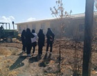 مهارت‌افزایی عملی هنرجویان هنرستان خدیجه کبری الیگودرز در پردیس تحقیقات و آموزش کشاورزی