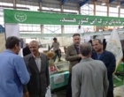 نقش‌آفرینی مرکز تحقیقات کشاورزی لرستان در سیزدهمین نمایشگاه تخصصی استان با ارائه یافته‌های کاربردی