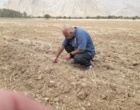تلفیق دانش بومی و فناوری مدرن در ایستگاه تحقیقات کشاورزی خرم‌آباد جهت استحصال ترکیبات دارویی ایمن