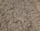 تلفیق دانش بومی و فناوری مدرن در ایستگاه تحقیقات کشاورزی خرم‌آباد جهت استحصال ترکیبات دارویی ایمن