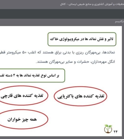 نقش میکروارگانیسم‌های خاک در ارتقای حاصلخیزی و پایداری تولید تشریح شد