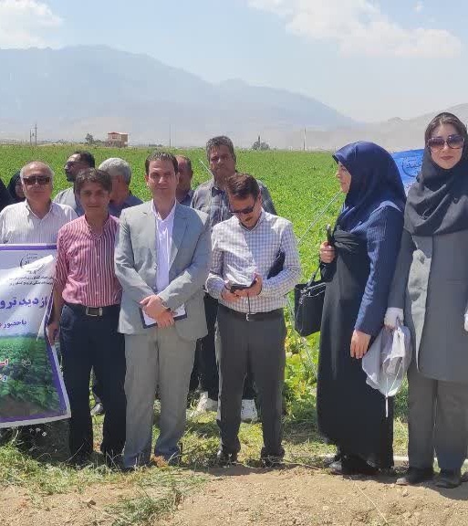 برگزاری رویداد ملی-استانی «زراعت نوین لوبیا» در قطب تولید محصول لرستان؛ از معرفی ارقام پربازده تا مدیریت نوین آفات در مزارع ازنا
