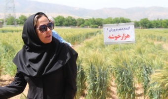 فرآیندی دانش‌بنیان برای ارتقای امنیت غذایی