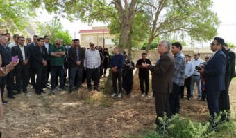 گذار از کشاورزی سنتی به مدیریت هوشمند خاک؛ ضرورتی برای مزارع لرستان