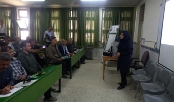 پیوند تحقیق و اجرا در کارگاه آشنایی با ارقام جدید باقلا