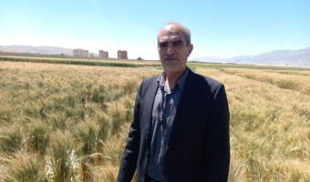 تحقیقات؛ محور تحول در تولیدات گیاهی و ضامن امنیت غذایی