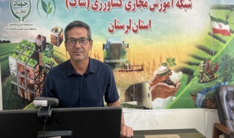 «سینه چوبی»؛ تهدیدی برای تولید و راهکارهای مهار آن در مرغداری‌ها