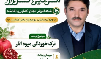 ترک‌خوردگی انار؛ عارضه‌ای قابل‌کنترل با مدیریت علمی آب، خاک و تغذیه