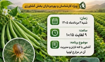 پخش برنامه «استودیو کشاورز» با محوریت راهکارهای نوین شناسایی و مدیریت کنه تارتن در مزارع لوبیا
