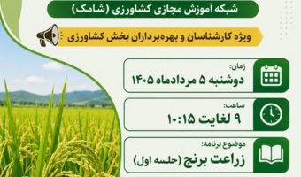 «زراعت برنج» روی آنتن شامک رفت؛ انتقال دانش کاربردی از زبان مدرس مرکز تات لرستان