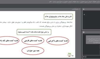 نقش میکروارگانیسم‌های خاک در ارتقای حاصلخیزی و پایداری تولید تشریح شد