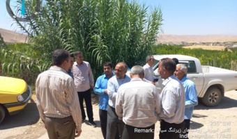 تأکید بر مدیریت جامع آفات، بهداشت باغ و تغذیه تلفیقی برای افزایش کیفیت محصول
