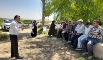 برگزاری کارگاه آموزشی «مدرسه در مزرعه» (FFS) لوبیا در شهرستان ازنا؛ گامی مؤثر در تلفیق دانش بومی و یافته‌های فنی