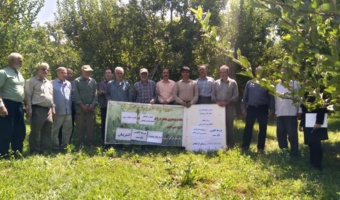 کارگاه آموزشی مدیریت آفات، بیماری‌ها و تغذیه باغات سیب در روستای کرکیخان برگزار شد