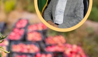 هم‌افزایی پژوهش و اجرا؛ کلید توسعه پایدار باغبانی در لرستان