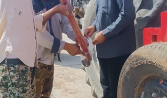 آغاز عملیات کاشت و آماده‌سازی اراضی ایستگاه تحقیقاتی سراب چنگایی خرم‌آباد به منظور اجرای طرح پژوهشی «تاثیر روش آبیاری و تاریخ برداشت در مدیریت سنک کلزا»