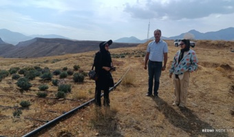 بازدید معاون آموزش و تحقیقات کشاورزی لرستان از مجموعه دانش‌بنیان آلکان کشت الیگودرز / تأکید بر تجاری‌سازی و توسعه پایدار زنجیره ارزش گیاهان دارویی