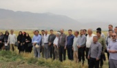 روز مزرعه فرصتی مغتنم برای تبادل دانش و نمایش آخرین دستاوردهای تحقیقاتی در حوزه کشاورزی
