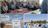 برگزاری روز انتقال یافته‌ها با عنوان "آفات و بیماری‌های لوبیا"