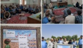 برگزاری روز انتقال یافته‌ها با عنوان "تغذیه گیاهی لوبیا"