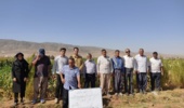 برگزاری دوره‌ آموزشی با موضوع مدیریت عوامل خسارتزای محصولات جالیزی