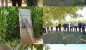 تلاش علمی و جهادی برای عبور از بحران خشکسالی