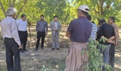 برگزاری رویداد ترویجی(( مدیریت عوامل خسارتزای درختان میوه سردسیری ))