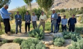 بازدید علمی و ارزیابی تخصصی باغ گیاه‌شناسی زاگرس خرم‌آباد با محوریت پایش آفات و بیماری‌های گیاهی