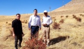آموزش و تحقیق در ایستگاه زاغه، موتور محرک تولید دانش‌بنیان در کشاورزی دیم لرستان