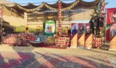 تجربه‌ای علمی در بزرگ‌ترین انارستان متمرکز ایران