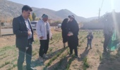 ارتقای دانش کشاورزان سلسله‌ای با برگزاری دوره آموزشی «آشنایی با آفات و بیماری‌های زعفران»