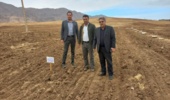 بازدید مدیریتی از طرح نوین PNT؛ گامی تازه در ارتقای عملکرد گندم دیم لرستان