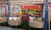 درخشش مرکز تات لرستان در بیست‌ و ششمین نمایشگاه هفته پژوهش