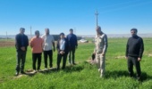 با آغاز پایش میدانی مزارع بذری گندم، وضعیت سطح سبز در شهرستان کوهدشت مطلوب ارزیابی شد