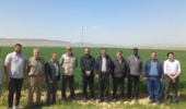 بازدید میدانی مسئول ثبت و گواهی بذر و نهال واحد استان از مزارع بذری شهرستان کوهدشت