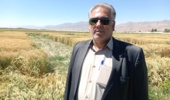 تحقیقات کشاورزی موتور محرک نوآوری و پایداری تولید در بخش کشاورزی است