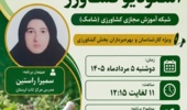 سمیرا راستین: مصرف آگاهانه گیاهان دارویی، ضامن اثربخشی و پیشگیری از مخاطرات احتمالی است