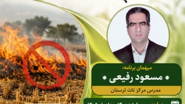 تشریح پیامدهای زیان‌بار کلش‌سوزی و ضرورت مدیریت اصولی بقایای گیاهی در برنامه «استودیو کشاورز»