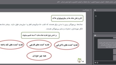نقش میکروارگانیسم‌های خاک در ارتقای حاصلخیزی و پایداری تولید تشریح شد