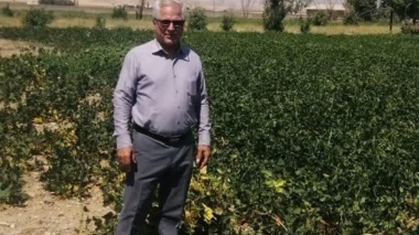 هشدار معاون مرکز تحقیقات کشاورزی لرستان درباره تبعات خاموشی‌های مکرر بر مزارع الگویی و تحقیقاتی الیگودرز / ضرورت تفکیک زیرساخت‌های پژوهشی کشاورزی از جدول قطعی برق
