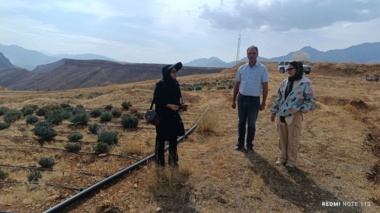 بازدید معاون آموزش و تحقیقات کشاورزی لرستان از مجموعه دانش‌بنیان آلکان کشت الیگودرز / تأکید بر تجاری‌سازی و توسعه پایدار زنجیره ارزش گیاهان دارویی